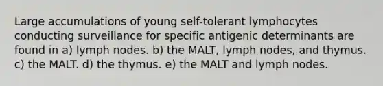 Large accumulations of young self-tolerant lymphocytes conducting surveillance for specific antigenic determinants are found in a) lymph nodes. b) the MALT, lymph nodes, and thymus. c) the MALT. d) the thymus. e) the MALT and lymph nodes.