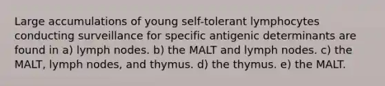 Large accumulations of young self-tolerant lymphocytes conducting surveillance for specific antigenic determinants are found in a) lymph nodes. b) the MALT and lymph nodes. c) the MALT, lymph nodes, and thymus. d) the thymus. e) the MALT.