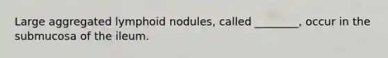Large aggregated lymphoid nodules, called ________, occur in the submucosa of the ileum.