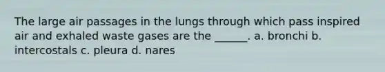 The large air passages in the lungs through which pass inspired air and exhaled waste gases are the ______. a. bronchi b. intercostals c. pleura d. nares