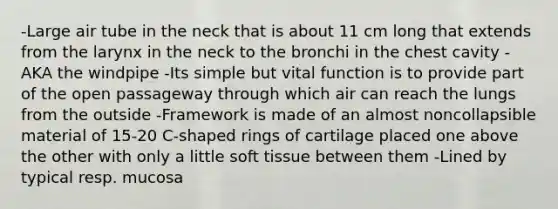 -Large air tube in the neck that is about 11 cm long that extends from the larynx in the neck to the bronchi in the chest cavity -AKA the windpipe -Its simple but vital function is to provide part of the open passageway through which air can reach the lungs from the outside -Framework is made of an almost noncollapsible material of 15-20 C-shaped rings of cartilage placed one above the other with only a little soft tissue between them -Lined by typical resp. mucosa