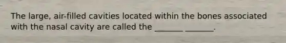 The large, air-filled cavities located within the bones associated with the nasal cavity are called the _______ _______.