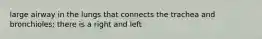 large airway in the lungs that connects the trachea and bronchioles; there is a right and left