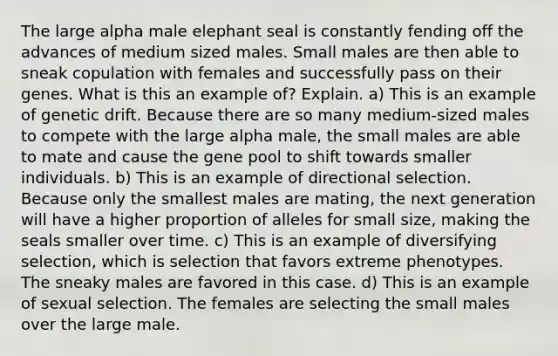 The large alpha male elephant seal is constantly fending off the advances of medium sized males. Small males are then able to sneak copulation with females and successfully pass on their genes. What is this an example of? Explain. a) This is an example of genetic drift. Because there are so many medium-sized males to compete with the large alpha male, the small males are able to mate and cause the gene pool to shift towards smaller individuals. b) This is an example of directional selection. Because only the smallest males are mating, the next generation will have a higher proportion of alleles for small size, making the seals smaller over time. c) This is an example of diversifying selection, which is selection that favors extreme phenotypes. The sneaky males are favored in this case. d) This is an example of sexual selection. The females are selecting the small males over the large male.