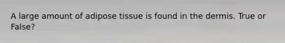 A large amount of adipose tissue is found in the dermis. True or False?