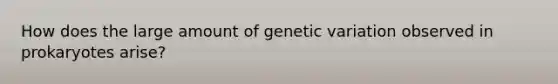 How does the large amount of genetic variation observed in prokaryotes arise?