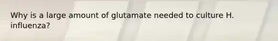 Why is a large amount of glutamate needed to culture H. influenza?