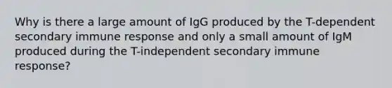 Why is there a large amount of IgG produced by the T-dependent secondary immune response and only a small amount of IgM produced during the T-independent secondary immune response?