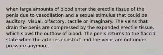 when large amounts of blood enter the erectile tissue of the penis due to vasodilation and a sexual stimulus that could be auditory, visual, olfactory, tactile or imaginary. The veins that drain the penis are compressed by the expanded erectile tissue, which slows the outflow of blood. The penis returns to the flaccid state when the arteries constrict and the veins are not under pressure anymore.