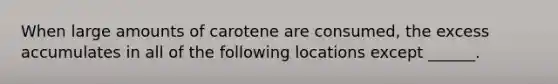 When large amounts of carotene are consumed, the excess accumulates in all of the following locations except ______.