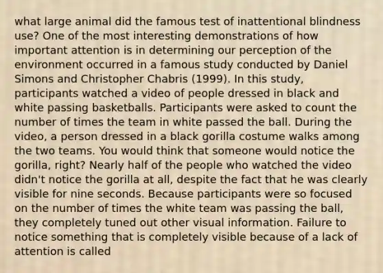 what large animal did the famous test of inattentional blindness use? One of the most interesting demonstrations of how important attention is in determining our perception of the environment occurred in a famous study conducted by Daniel Simons and Christopher Chabris (1999). In this study, participants watched a video of people dressed in black and white passing basketballs. Participants were asked to count the number of times the team in white passed the ball. During the video, a person dressed in a black gorilla costume walks among the two teams. You would think that someone would notice the gorilla, right? Nearly half of the people who watched the video didn't notice the gorilla at all, despite the fact that he was clearly visible for nine seconds. Because participants were so focused on the number of times the white team was passing the ball, they completely tuned out other visual information. Failure to notice something that is completely visible because of a lack of attention is called