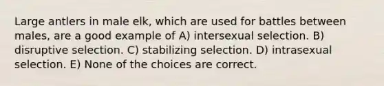 Large antlers in male elk, which are used for battles between males, are a good example of A) intersexual selection. B) disruptive selection. C) stabilizing selection. D) intrasexual selection. E) None of the choices are correct.