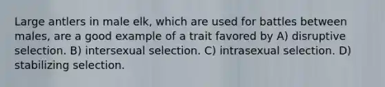 Large antlers in male elk, which are used for battles between males, are a good example of a trait favored by A) disruptive selection. B) intersexual selection. C) intrasexual selection. D) stabilizing selection.