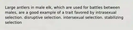 Large antlers in male elk, which are used for battles between males, are a good example of a trait favored by intrasexual selection. disruptive selection. intersexual selection. stabilizing selection