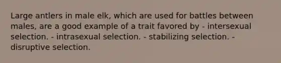 Large antlers in male elk, which are used for battles between males, are a good example of a trait favored by - intersexual selection. - intrasexual selection. - stabilizing selection. - disruptive selection.