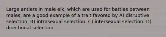 Large antlers in male elk, which are used for battles between males, are a good example of a trait favored by A) disruptive selection. B) intrasexual selection. C) intersexual selection. D) directional selection.