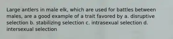 Large antlers in male elk, which are used for battles between males, are a good example of a trait favored by a. disruptive selection b. stabilizing selection c. intrasexual selection d. intersexual selection