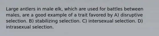 Large antlers in male elk, which are used for battles between males, are a good example of a trait favored by A) disruptive selection. B) stabilizing selection. C) intersexual selection. D) intrasexual selection.