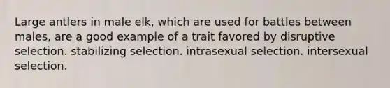 Large antlers in male elk, which are used for battles between males, are a good example of a trait favored by disruptive selection. stabilizing selection. intrasexual selection. intersexual selection.