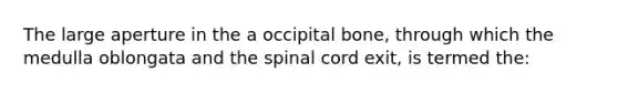 The large aperture in the a occipital bone, through which the medulla oblongata and the spinal cord exit, is termed the: