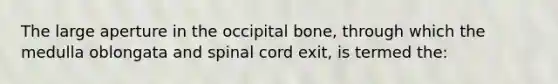 The large aperture in the occipital bone, through which the medulla oblongata and spinal cord exit, is termed the: