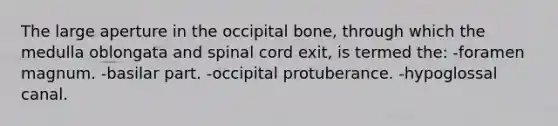 The large aperture in the occipital bone, through which the medulla oblongata and spinal cord exit, is termed the: -foramen magnum. -basilar part. -occipital protuberance. -hypoglossal canal.