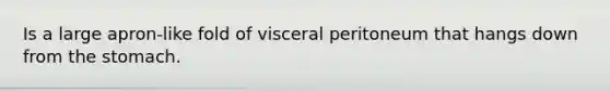 Is a large apron-like fold of visceral peritoneum that hangs down from the stomach.