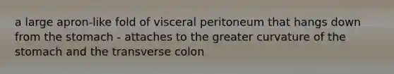 a large apron-like fold of visceral peritoneum that hangs down from the stomach - attaches to the greater curvature of the stomach and the transverse colon