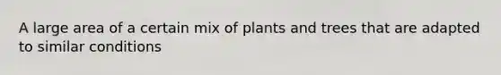 A large area of a certain mix of plants and trees that are adapted to similar conditions