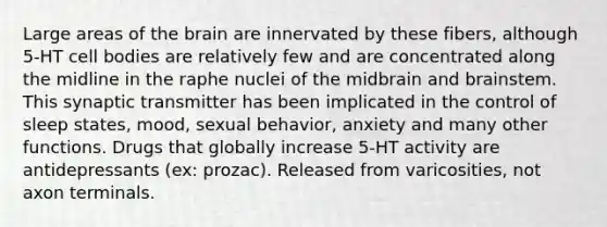 Large areas of the brain are innervated by these fibers, although 5-HT cell bodies are relatively few and are concentrated along the midline in the raphe nuclei of the midbrain and brainstem. This synaptic transmitter has been implicated in the control of sleep states, mood, sexual behavior, anxiety and many other functions. Drugs that globally increase 5-HT activity are antidepressants (ex: prozac). Released from varicosities, not axon terminals.