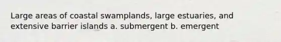 Large areas of coastal swamplands, large estuaries, and extensive barrier islands a. submergent b. emergent