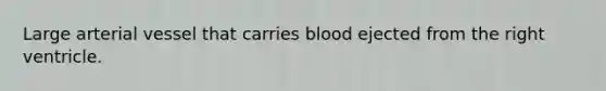 Large arterial vessel that carries blood ejected from the right ventricle.