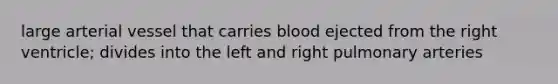 large arterial vessel that carries blood ejected from the right ventricle; divides into the left and right pulmonary arteries