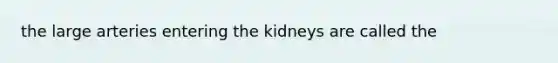 the large arteries entering the kidneys are called the