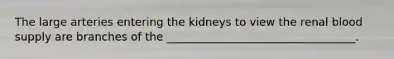 The large arteries entering the kidneys to view the renal blood supply are branches of the __________________________________.