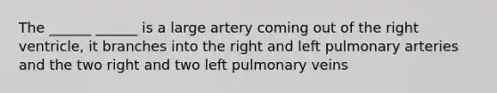 The ______ ______ is a large artery coming out of the right ventricle, it branches into the right and left pulmonary arteries and the two right and two left pulmonary veins