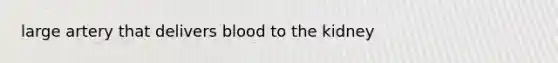 large artery that delivers blood to the kidney