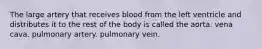 The large artery that receives blood from the left ventricle and distributes it to the rest of the body is called the aorta. vena cava. pulmonary artery. pulmonary vein.