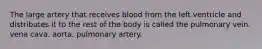 The large artery that receives blood from the left ventricle and distributes it to the rest of the body is called the pulmonary vein. vena cava. aorta. pulmonary artery.