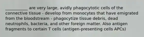 ___________ are very large, avidly phagocytotic cells of the <a href='https://www.questionai.com/knowledge/kYDr0DHyc8-connective-tissue' class='anchor-knowledge'>connective tissue</a> - develop from monocytes that have emigrated from <a href='https://www.questionai.com/knowledge/k7oXMfj7lk-the-blood' class='anchor-knowledge'>the blood</a>stream - phagocytize tissue debris, dead neutrophils, bacteria, and other foreign matter. Also antigen fragments to certain T cells (antigen-presenting cells APCs)