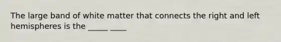 The large band of white matter that connects the right and left hemispheres is the _____ ____