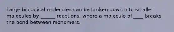 Large biological molecules can be broken down into smaller molecules by ______ reactions, where a molecule of ____ breaks the bond between monomers.