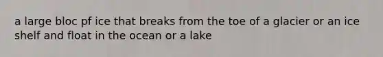 a large bloc pf ice that breaks from the toe of a glacier or an ice shelf and float in the ocean or a lake