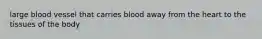 large blood vessel that carries blood away from the heart to the tissues of the body