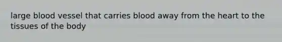 large blood vessel that carries blood away from the heart to the tissues of the body