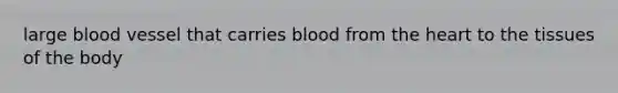 large blood vessel that carries blood from the heart to the tissues of the body