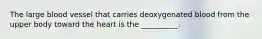 The large blood vessel that carries deoxygenated blood from the upper body toward the heart is the __________.