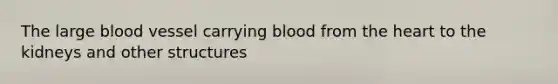 The large blood vessel carrying blood from the heart to the kidneys and other structures