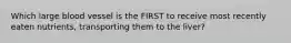 Which large blood vessel is the FIRST to receive most recently eaten nutrients, transporting them to the liver?
