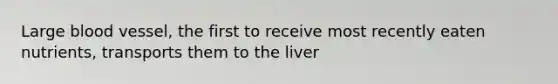 Large blood vessel, the first to receive most recently eaten nutrients, transports them to the liver